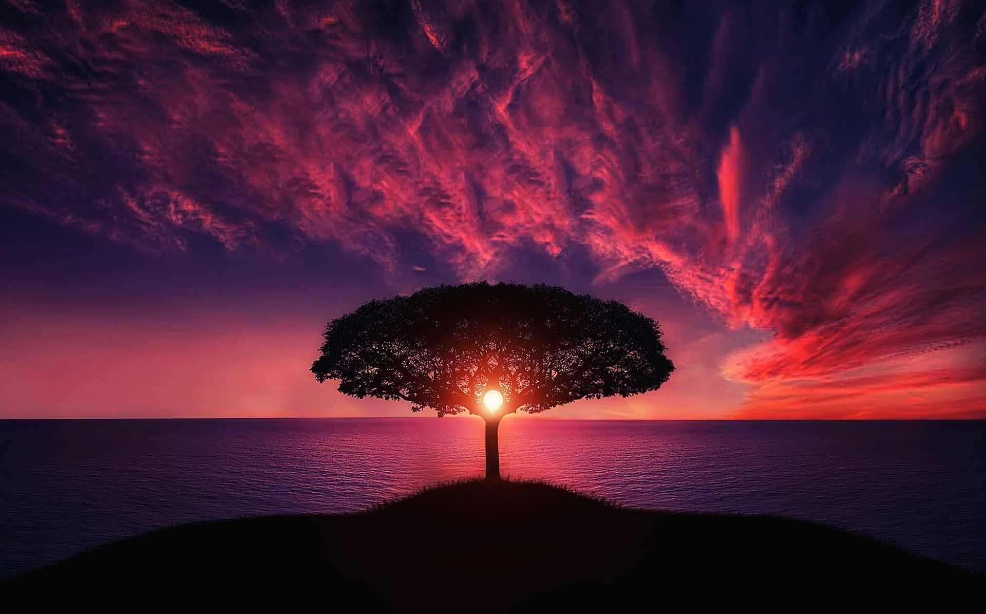 The sky is a huge, boundless space that is full of interesting things.
