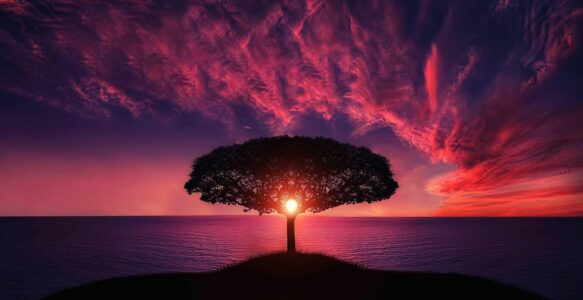 The sky is a huge, boundless space that is full of interesting things.